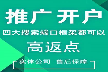某品牌通过SEM优化实现品牌增长的故事